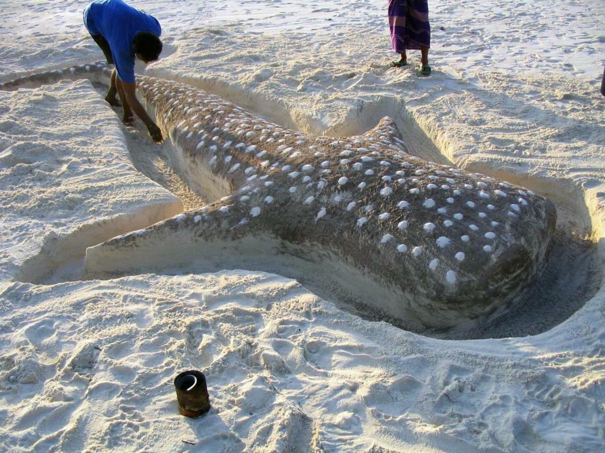 Dharavandhoo Stay Bagian luar foto
