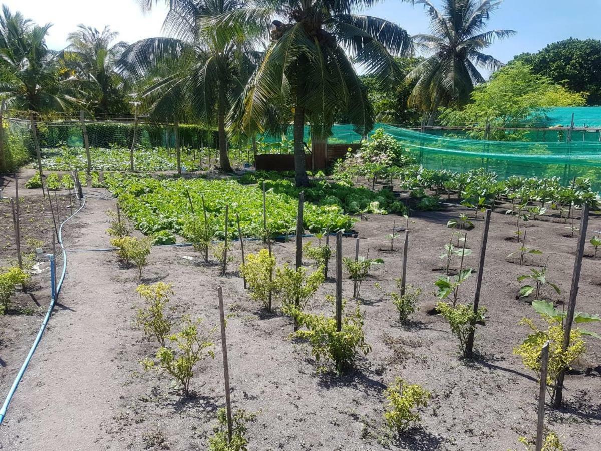 Dharavandhoo Stay Bagian luar foto